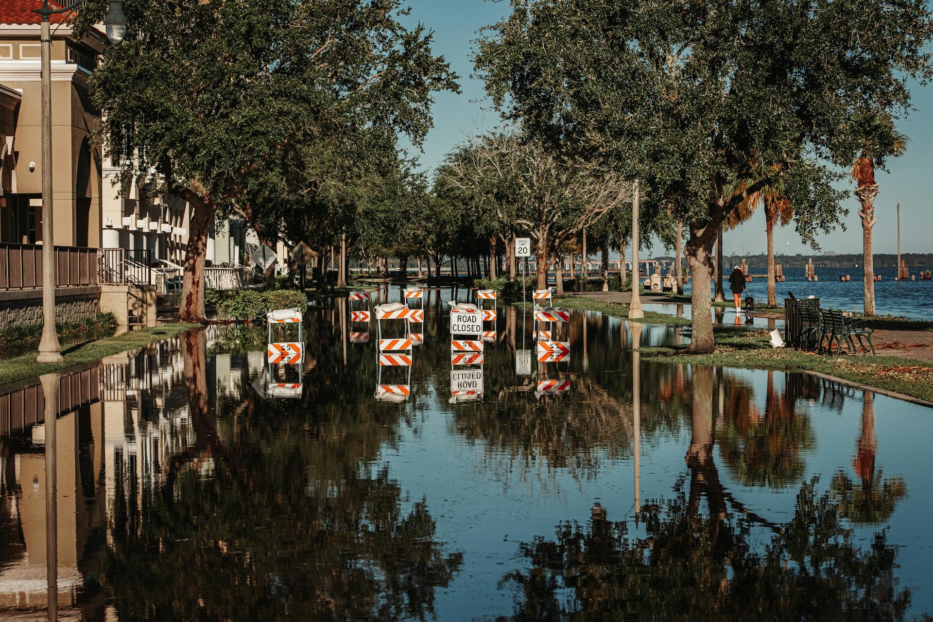 A flooded street with road closed signs reflecting in the water along a tree-lined sidewalk.