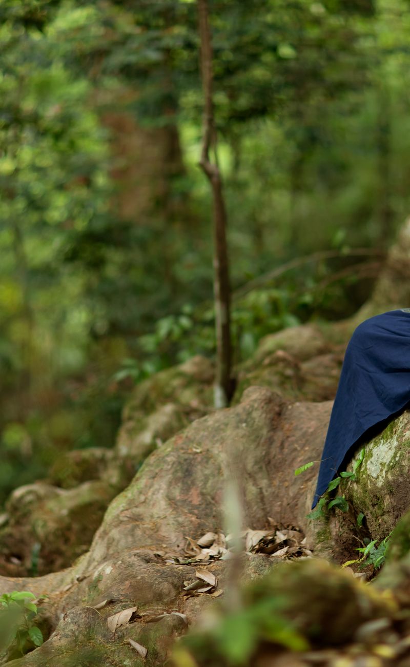 Nature Breathing Exercises for Mental Clarity: The 2026 Protocol