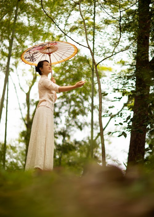 Woman in a Forest with an Umbrella 