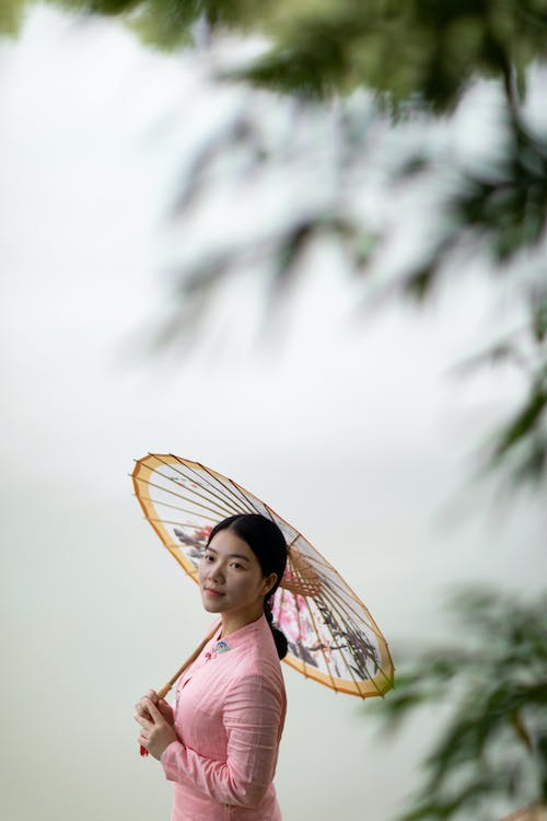 アジアの女性, エレガント, ブルネットの無料の写真素材