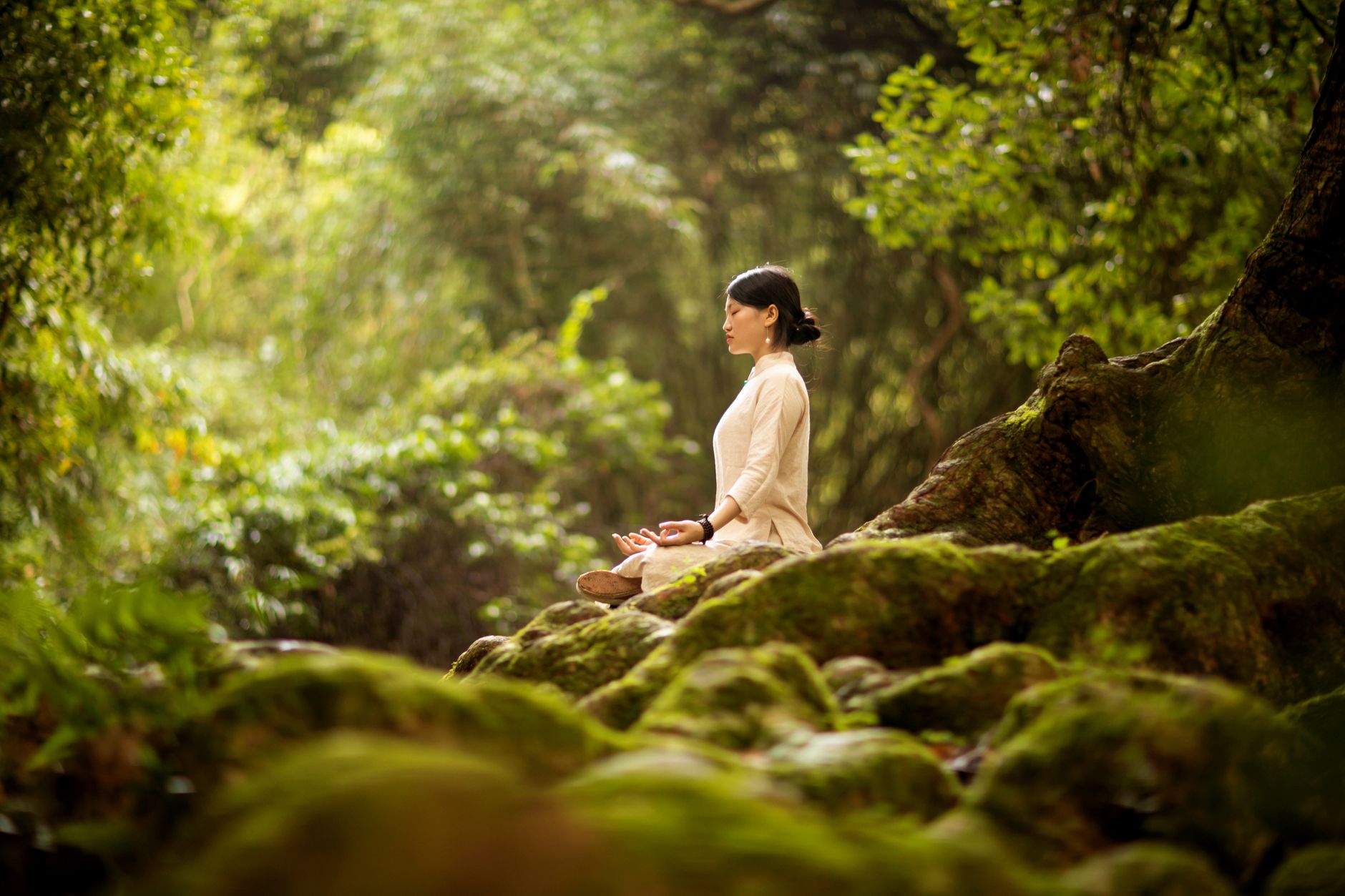 心理健康自我修煉:從自我覺察開始 A woman in serene meditation in a lush forest, surrounded by trees and moss.
