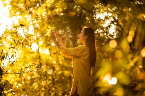 Free Woman meditating peacefully outdoors in golden sunlight amidst trees. Stock Photo
