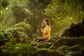 Artwork for Unlocking Quantum Healing: The Power of Wholeness Meditation with Cristine Hull