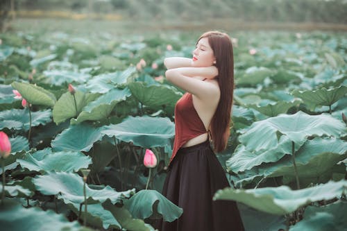 Woman in Red and Black Dress Surrounded by Plant