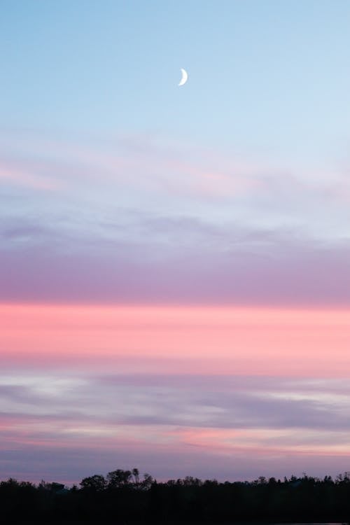 Crescent Moon in Purple and Pink Sky