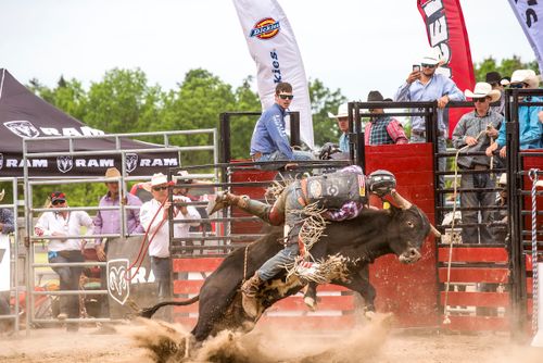 Free An exciting rodeo scene featuring a cowboy riding a bull during a competition outdoors. Stock Photo
