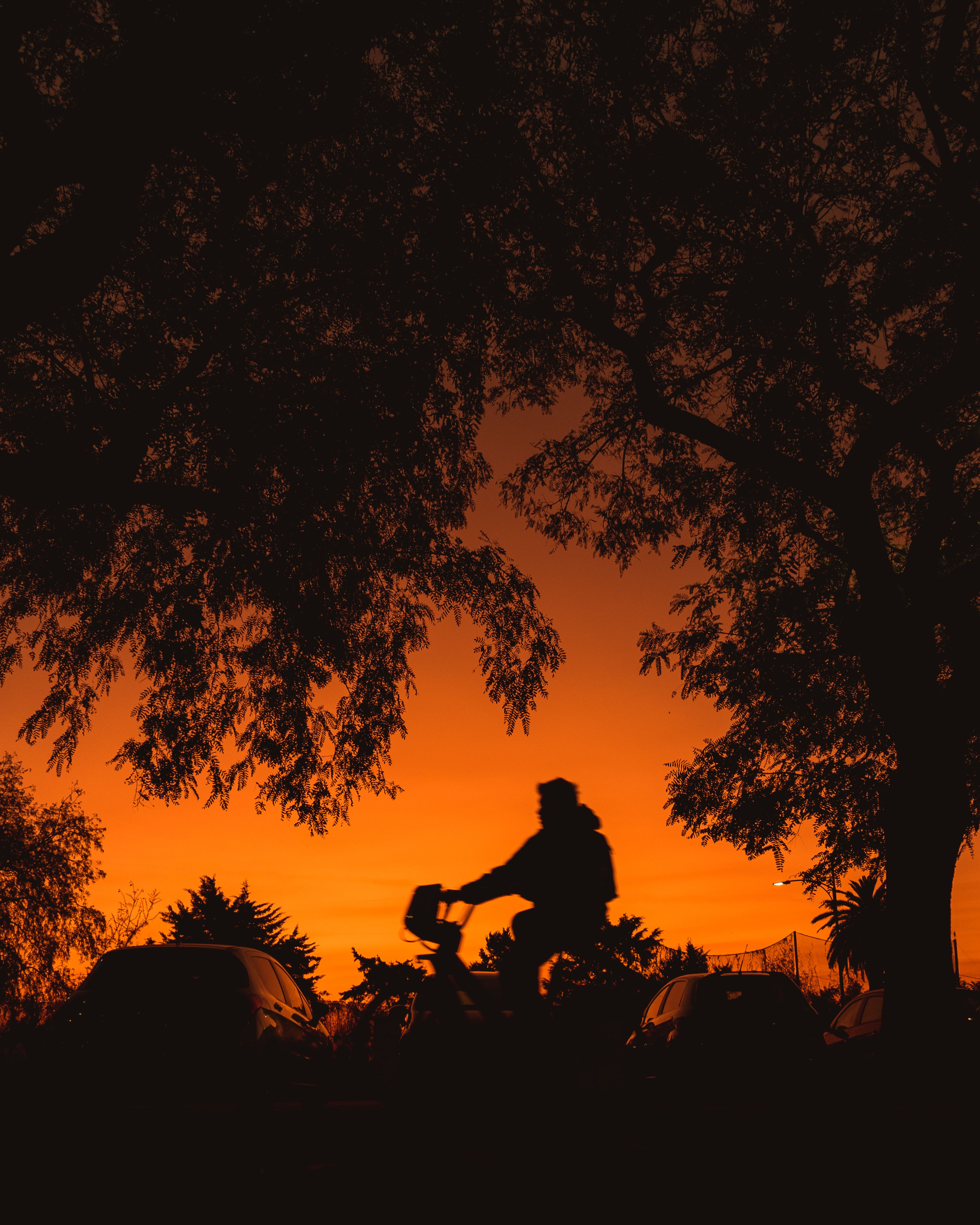 A cyclist rides past trees and cars at sunset, creating a striking silhouette in Buenos Aires.