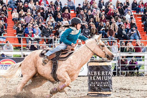 People Watching a Woman Riding a Horse