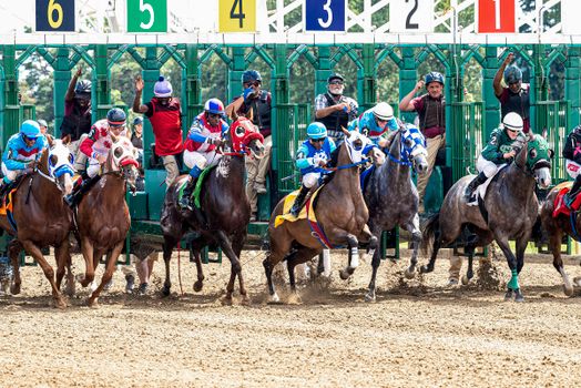 Men in Uniform Riding Horses 