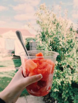 A refreshing cup of watermelon slices in a garden setting, ideal for a summer snack scene.