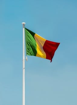 Mali flag