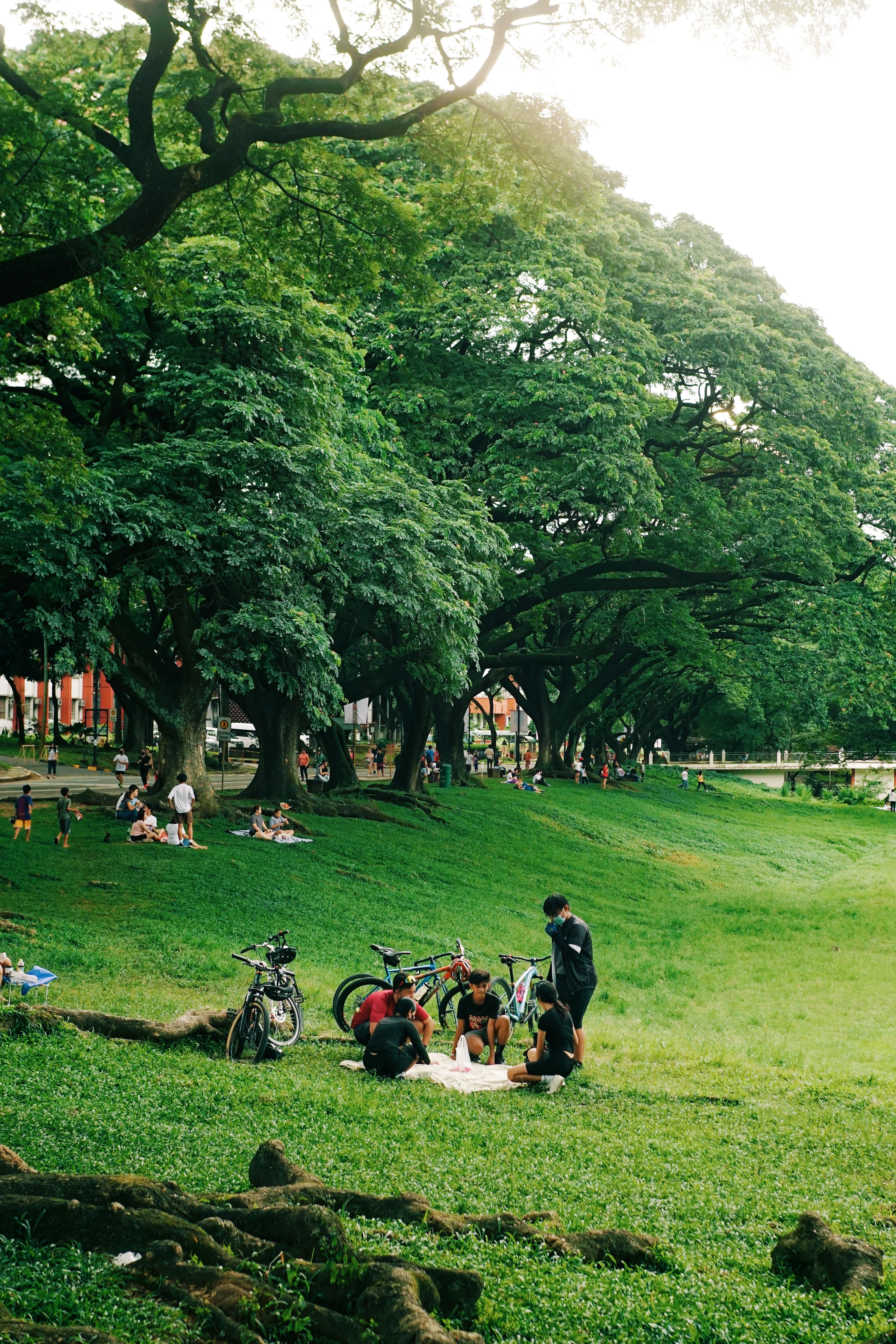 Ye weekend outing ka maza hi kuch aur tha 🌳💆‍♀️, nothing like spending a relaxing evening under these vibrant green trees 🌲 #tolee #weekendvibes #mumbaiparks
