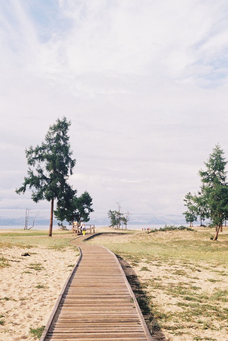 A Long Wooden Pathway