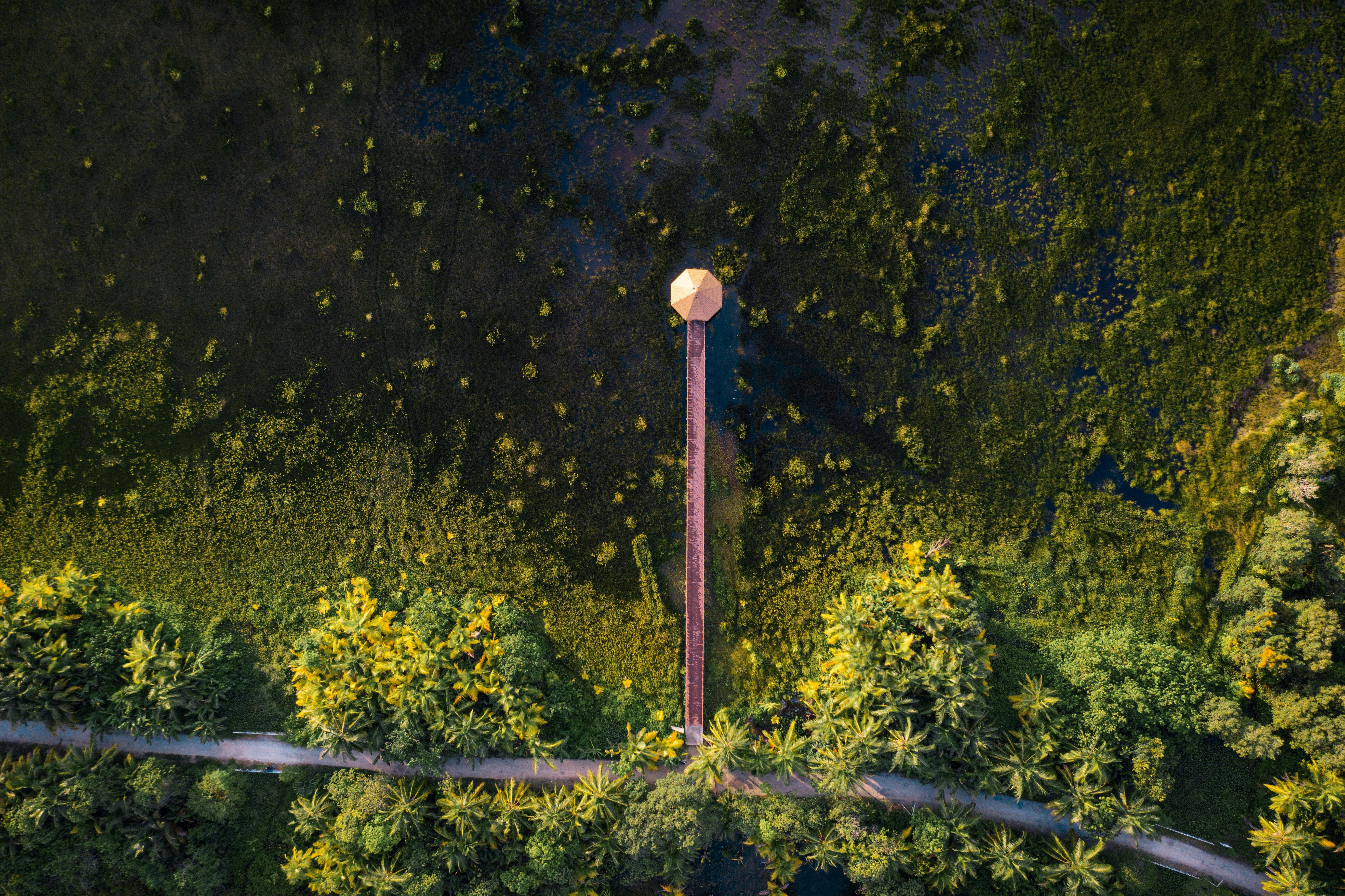 common:alt.prefix Ảnh lưu trữ miễn phí về cấu trúc bằng gỗ, cây, cây xanh common:alt.postfix