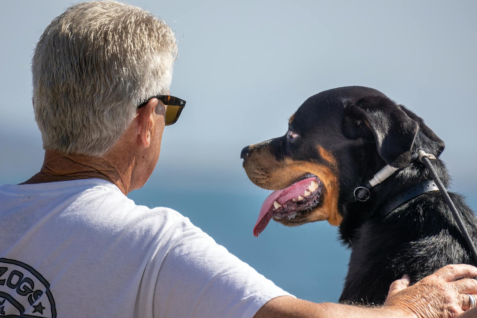 An Elderly Man With His Dog