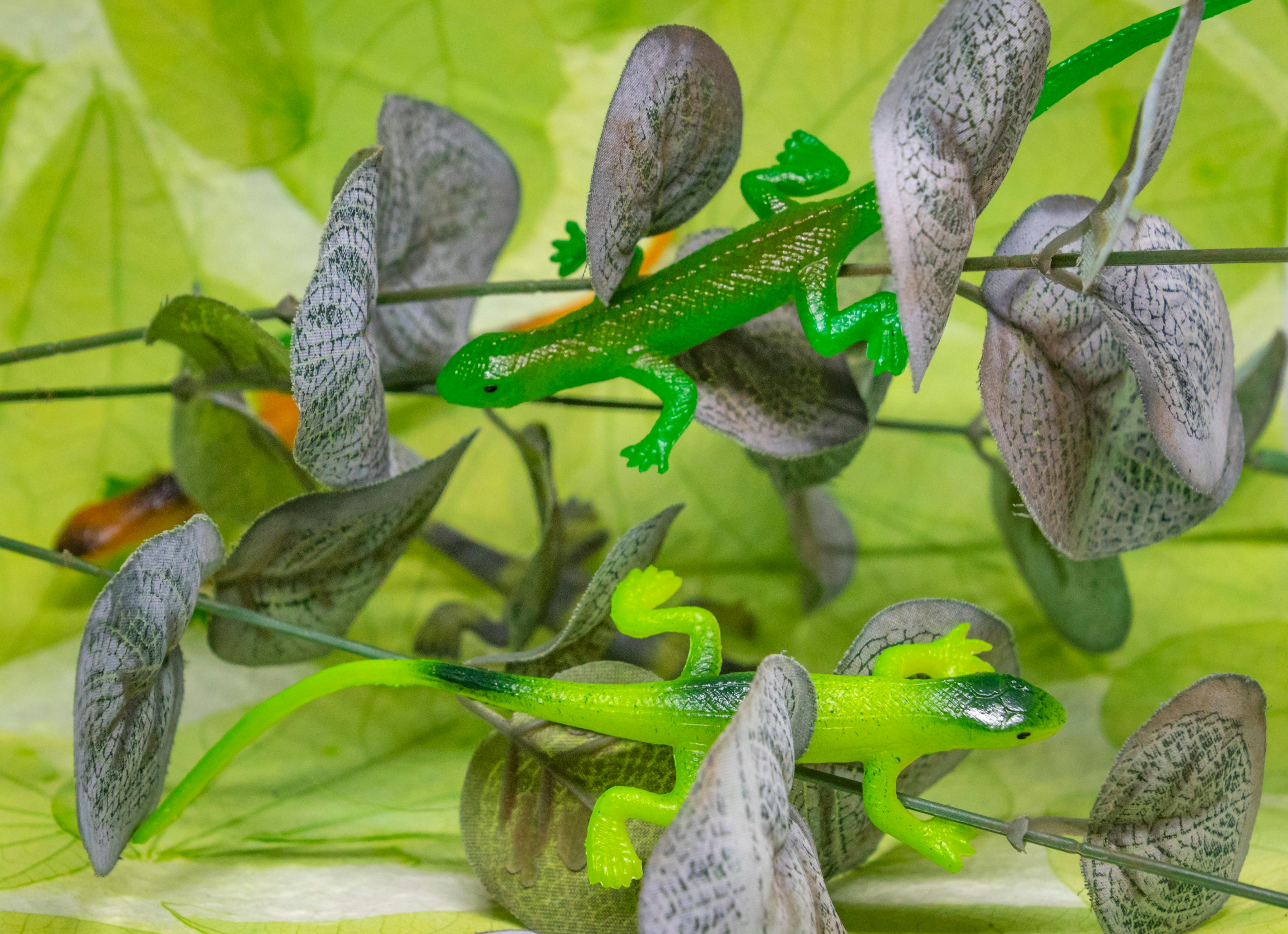 Colorful plastic lizards intertwined with artificial leaves creating a playful scene.