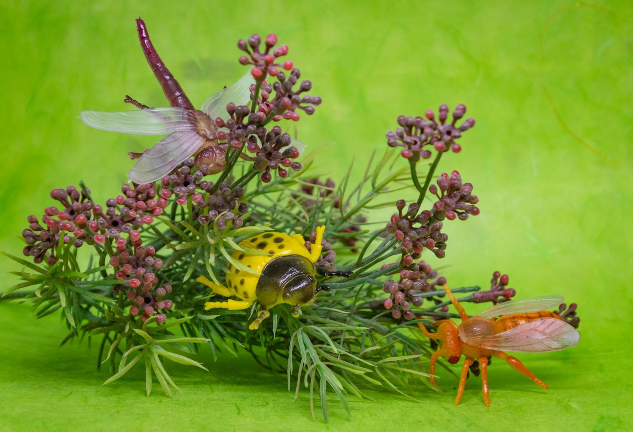bright and detailed toy insects amidst lush green foliage creating a v