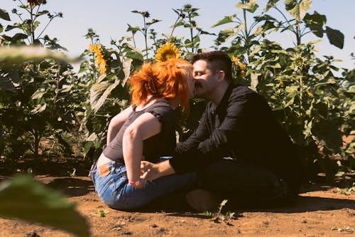 A Couple Kissing in the Sunflower Field