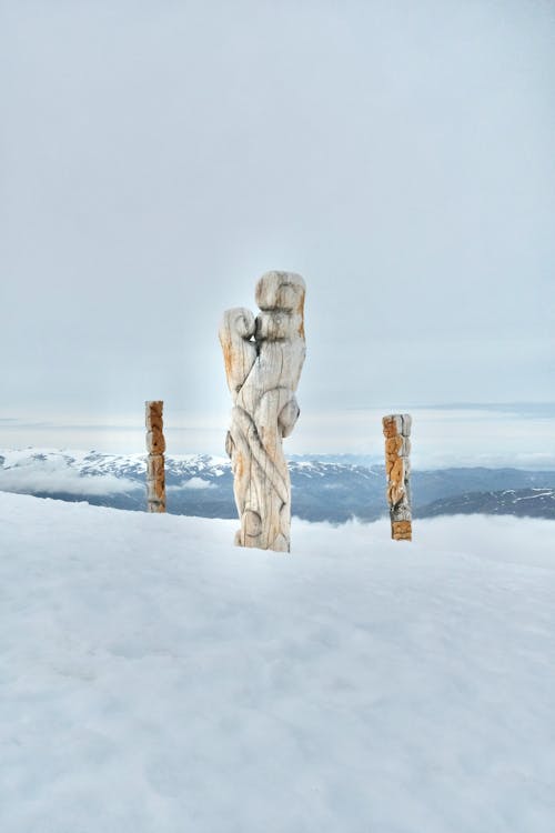 Wooden Sculpture on Snow