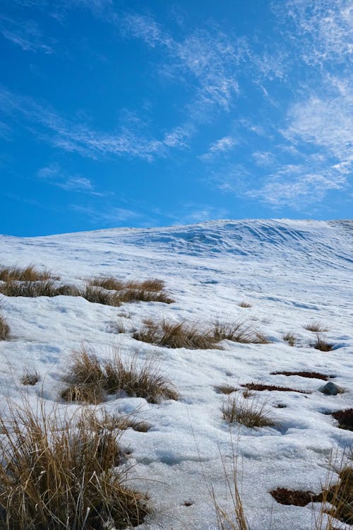 Darmowe zdjęcie z galerii z błękitne niebo, góra, kurort narciarski