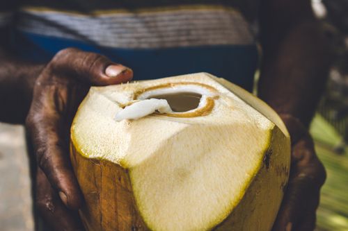 Free A fresh coconut being held, showcasing refreshment in a tropical setting. Stock Photo