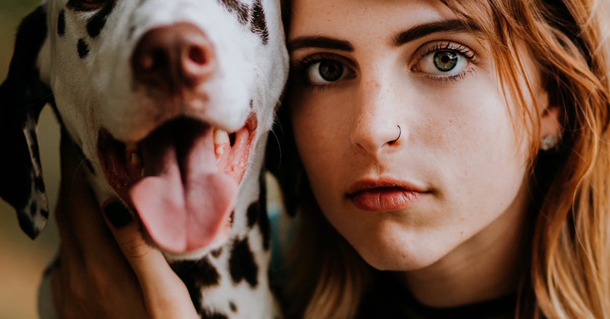 How long does kennel cough last in dogs