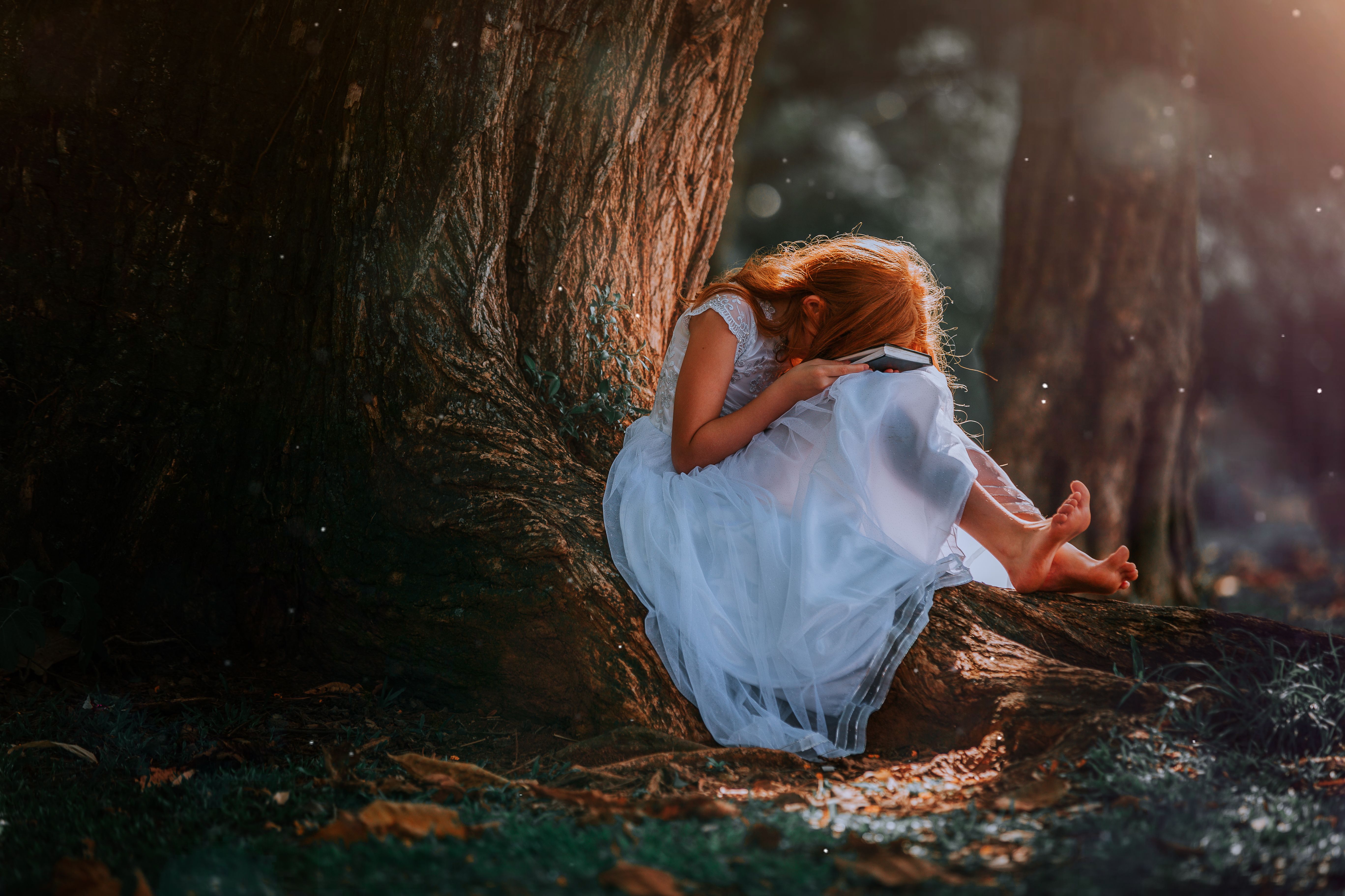 Woman in White Dress Sitting under the Tree · Free Stock Photo