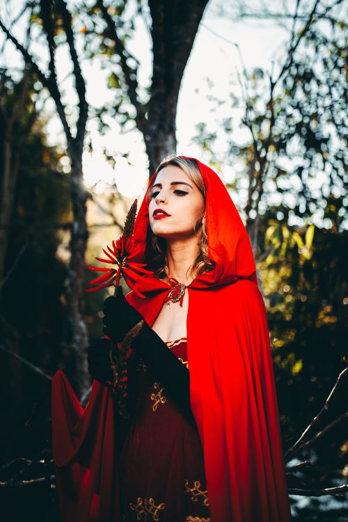 Free A captivating portrait of a woman in a red hooded cape holding a flower in a forest setting. Stock Photo