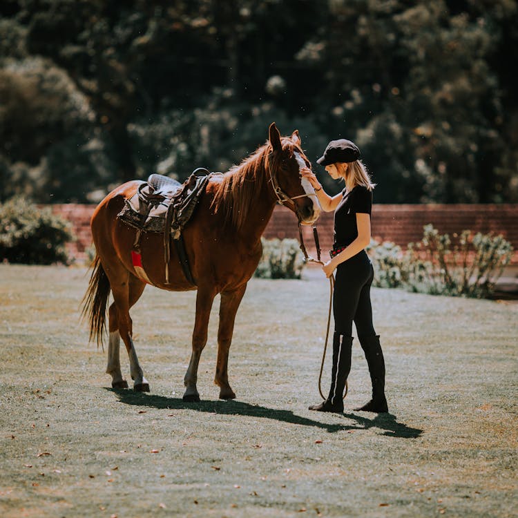 Woman Petting A Horse 