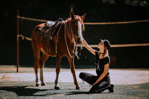 Free A woman kneels beside a horse in an outdoor setting, showcasing a bond between human and animal. Stock Photo