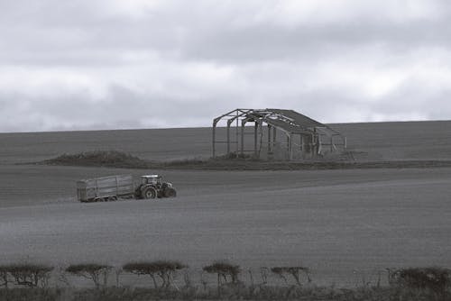 Photos gratuites de campagne, clairière, culture