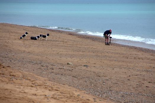 Photographer captures dogs on the sandy coast of Ringstead Beach, England.