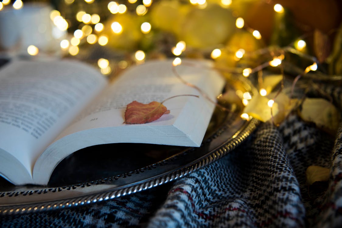 Free stock photo of autumn aesthetic, book aesthetic, books