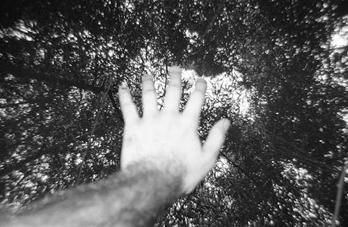 Hand under Leaves