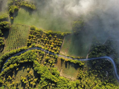 Birds Eye View of a Road in the Countryside