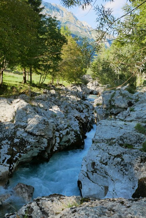 Free A picturesque view of the Soča River with rocky rapids surrounded by lush forest in Slovenia. Stock Photo