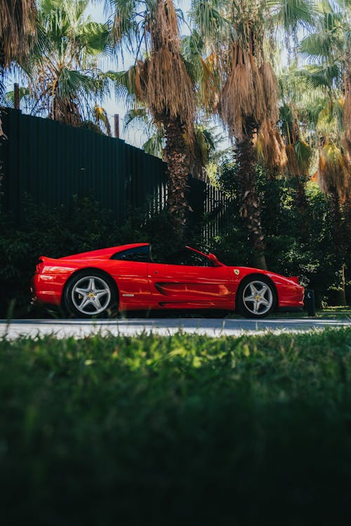 Red Ferrari Car Parked on the Road Under the Trees 