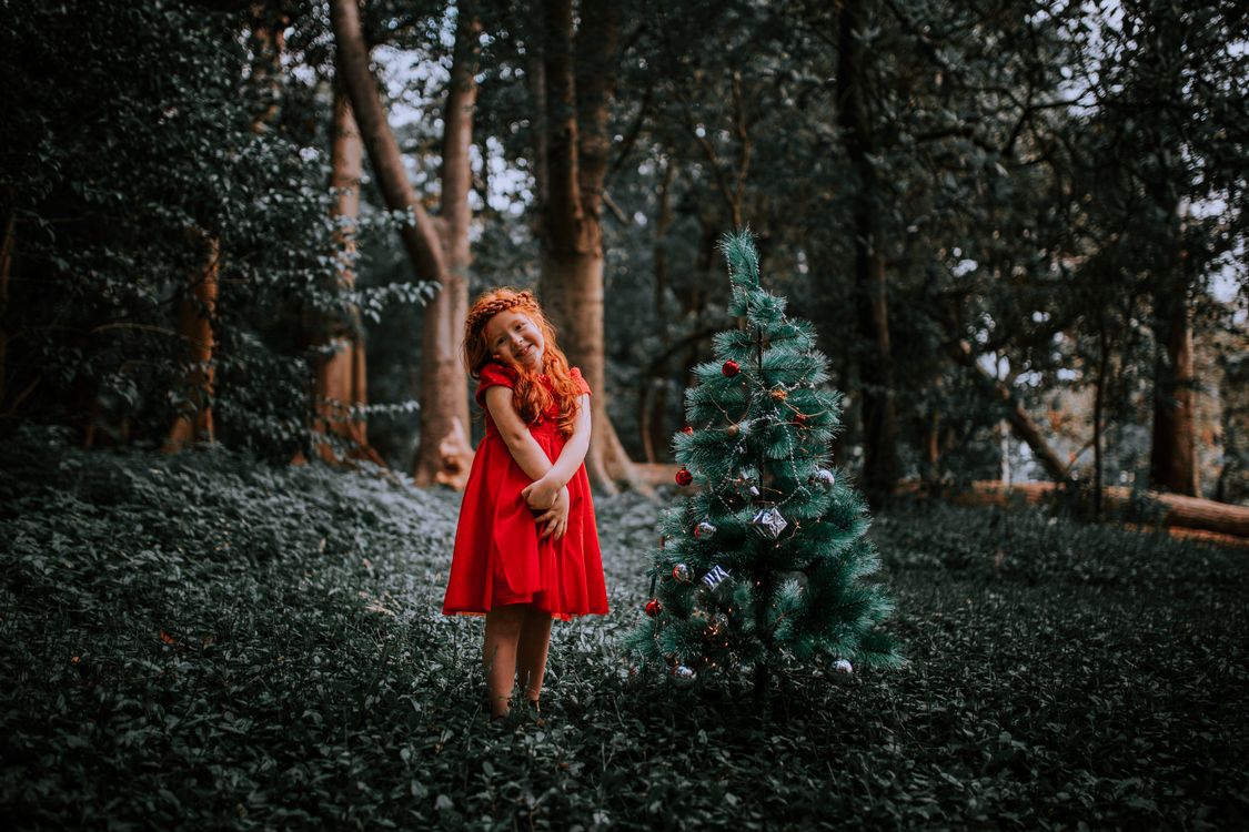 forest red dress photoshoot Royalty-Free photo: Woman wearing red dress in forest