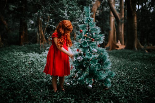 Ilmainen kuvapankkikuva tunnisteilla joulun puu, koristelu, lapsi
