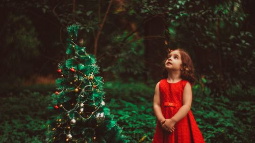 Free A young girl in a red dress admires a decorated Christmas tree in a forest setting. Stock Photo