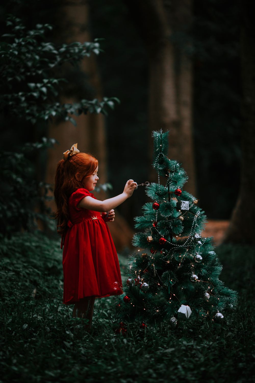 Foto de stock gratuita sobre adornos, adornos de navidad, al aire libre ...