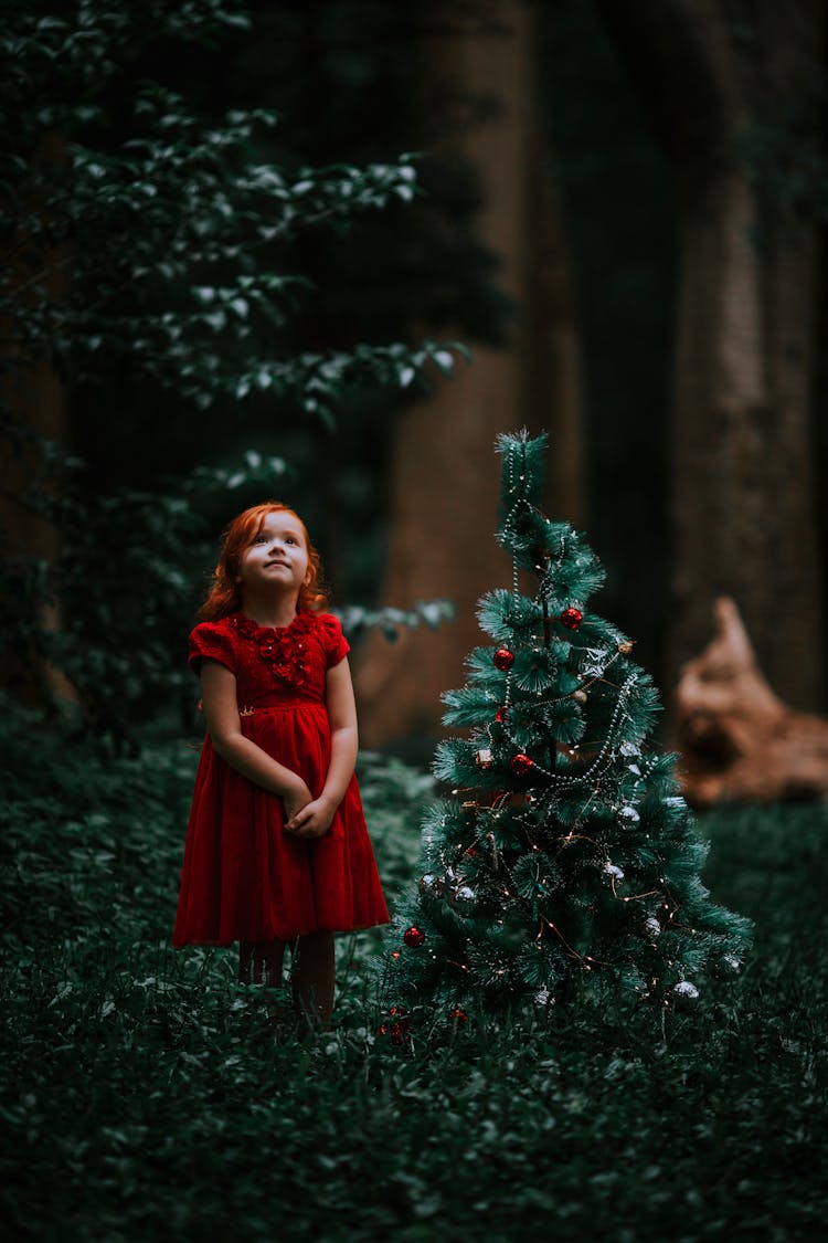 Girl In Dress Posing By Christmas Tree