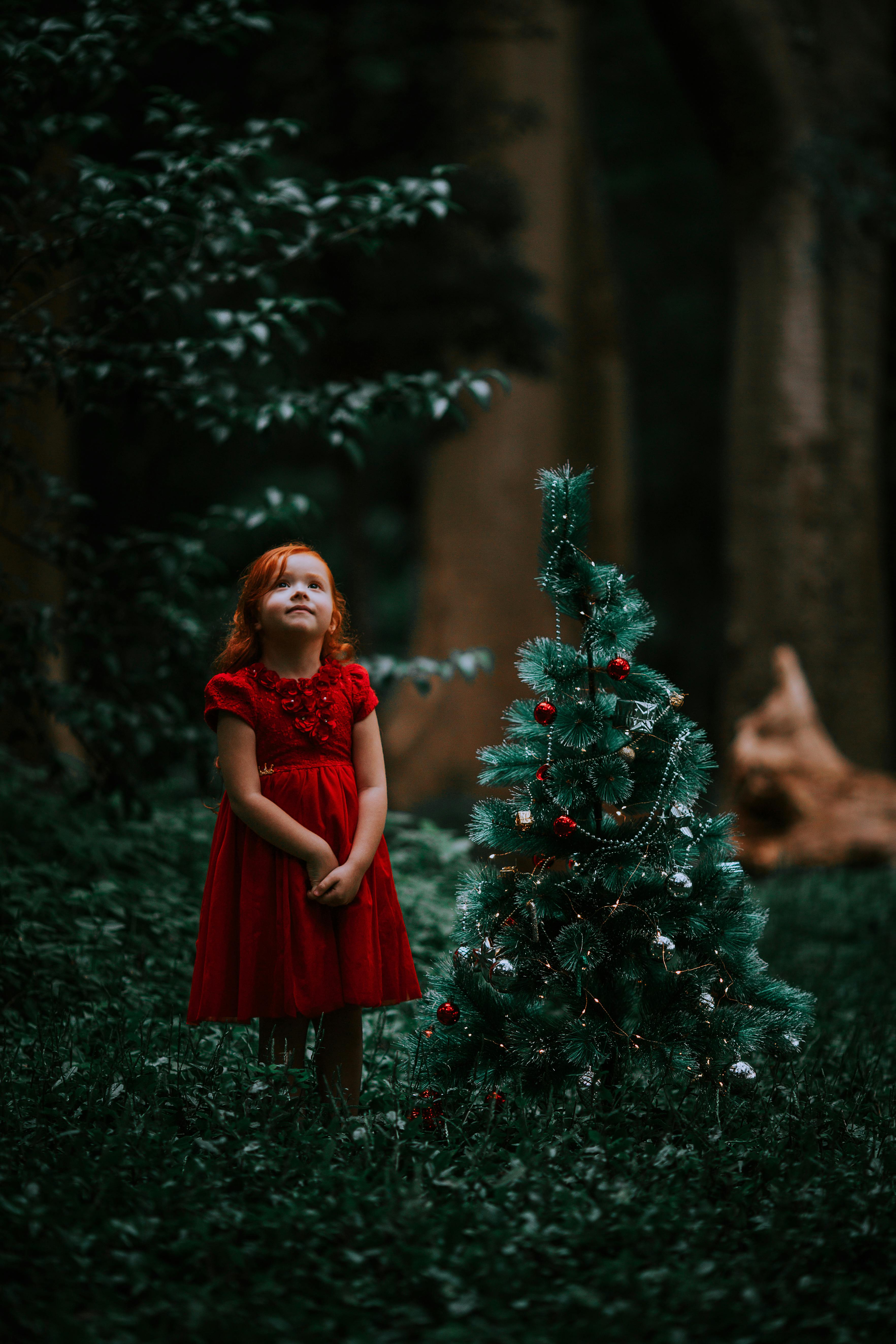 20,000+ Best Christmas Photos · 100% Free Download · Pexels Stock Photos
