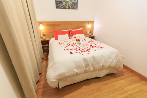 Gratis Foto stok gratis bunga merah, dalam ruangan, desain interior Foto Stok