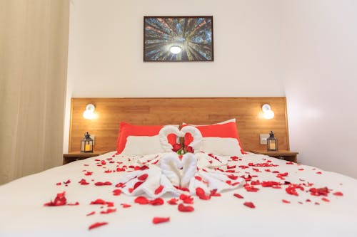 Free Hotel Room with Red Petals on a Bed Stock Photo