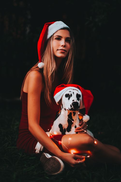 Free Young woman with Dalmatian dog in Christmas hats surrounded by lights, creating a cozy winter scene. Stock Photo