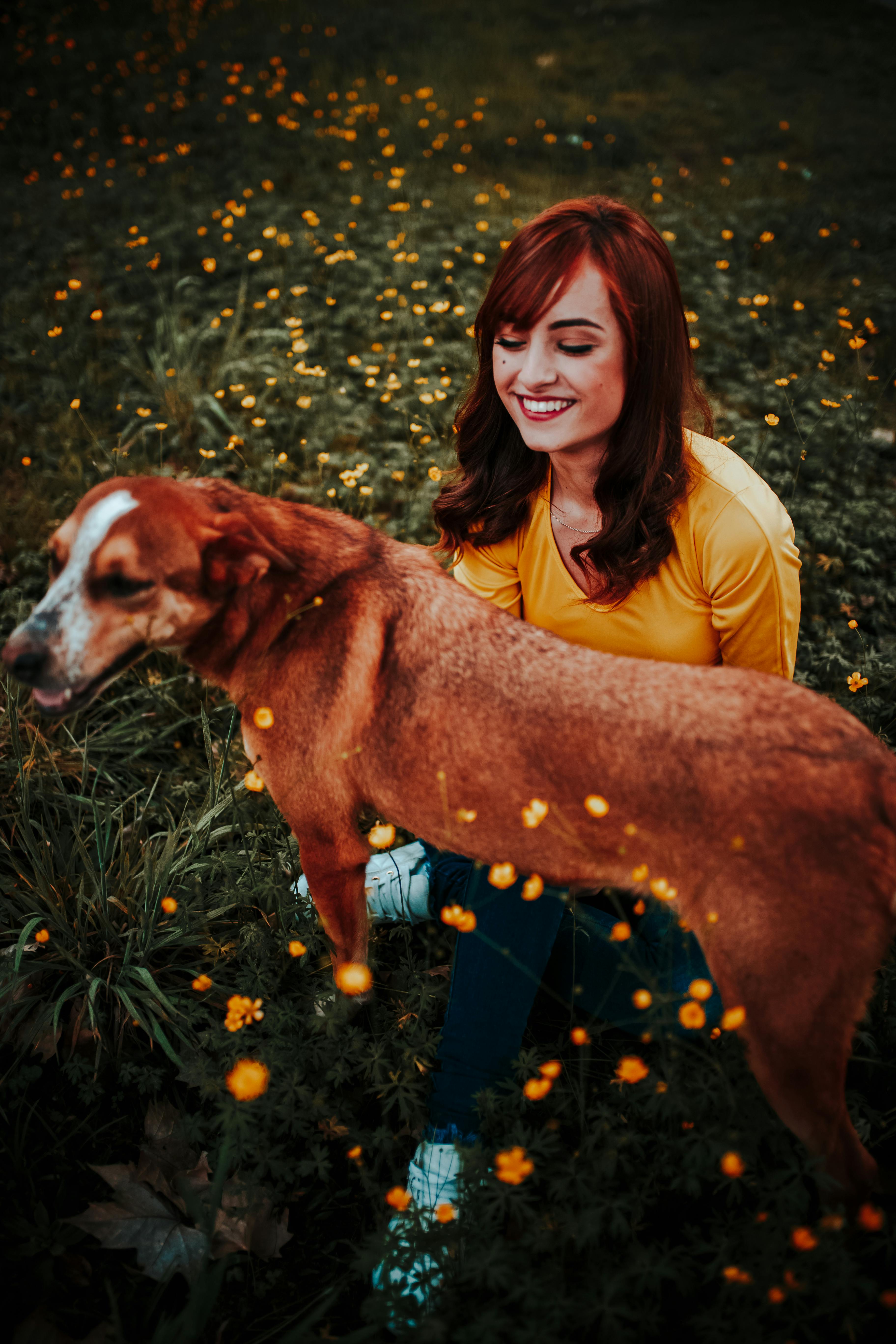 Redbone Coonhound image