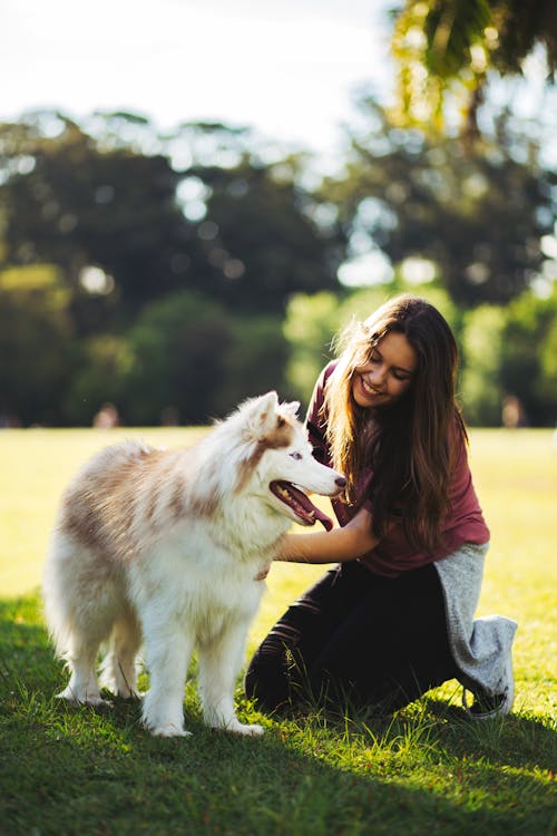 Woman Smiling and Playing with Her Husky Dog Outdoors 