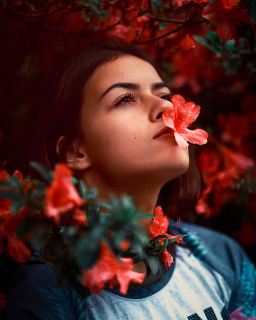 Free A young woman enjoys the moment surrounded by vibrant red azaleas in full bloom outdoors. Stock Photo