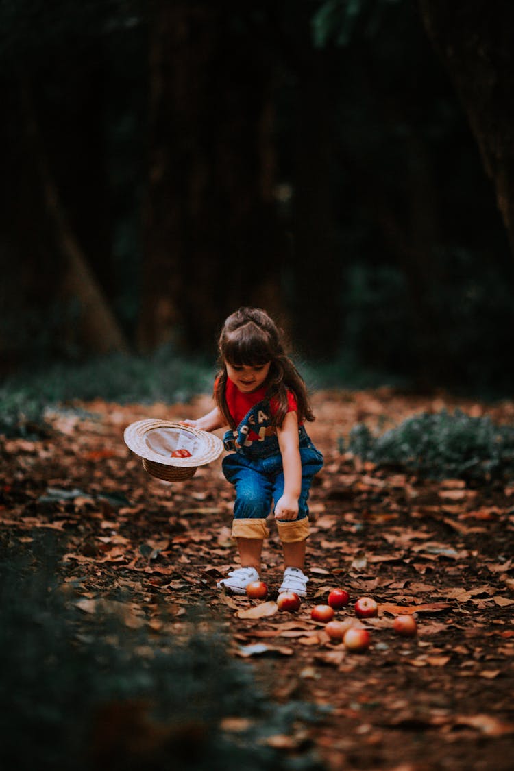 Girl Picking Up Apples From Ground